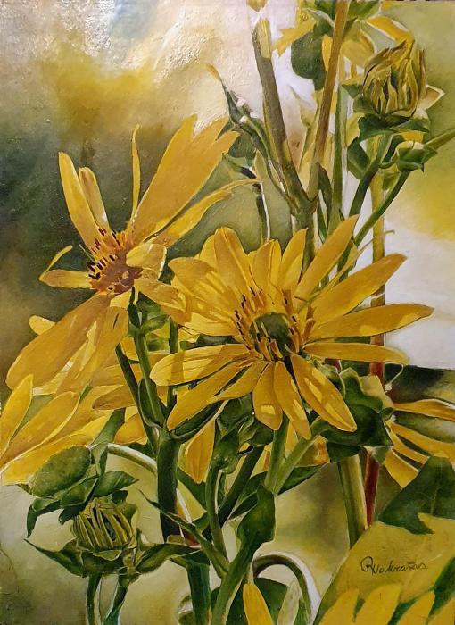 paveikslai internete