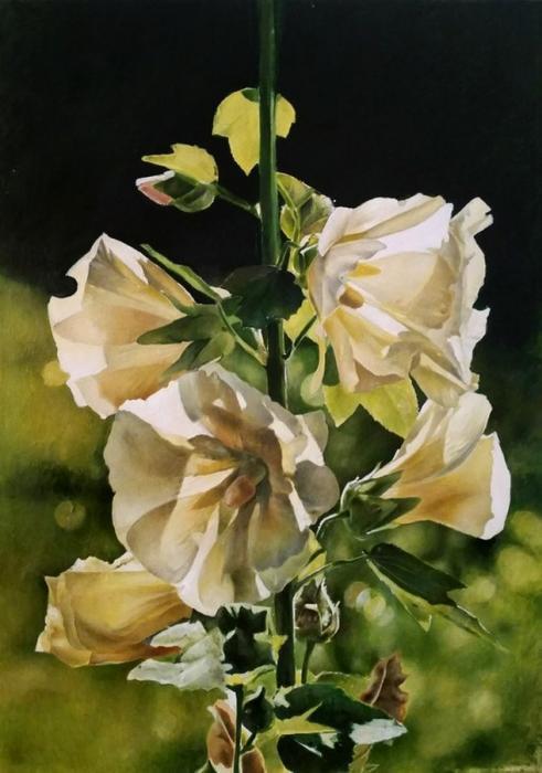 paveikslai internete